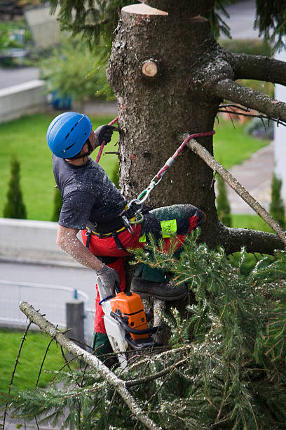 Mulching Services in Lincoln Park, NJ